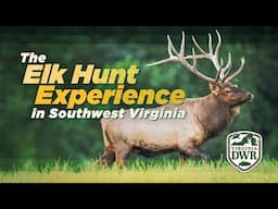 The Elk Hunt Experience in Southwest Virginia