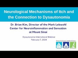 Neurological Mechanisms of Itch and the Connection to Dysautonomia