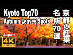 京都の紅葉70選 Kyoto 70 Top Autumn Leaves  京都観光 京都旅行 秋の京都 Japan trip 紅葉の名所 京都案内 Travel Guid Discover