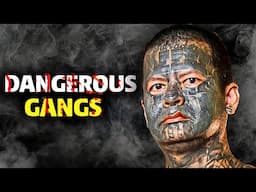 Revealing the World's Deadliest Gangs: Top 10