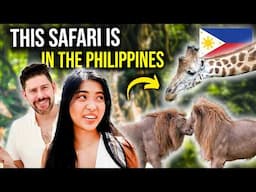 FOREIGNERS react to SAFARI in THE PHILIPPINES!