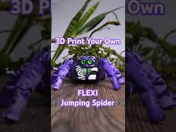 How big would you PRINT a Flexi Jumping Spider? 🕷