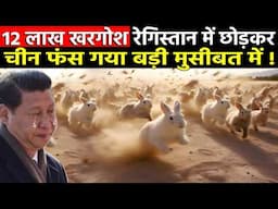 12 लाख खरगोश रेगिस्तान में छोड़कर, चीन बड़ी मुसीबत में फंस गया || China's Rabbit Big Problem