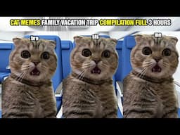 CAT MEMES FAMILY VACATION TRIP COMPILATION FULL 3 HOURS