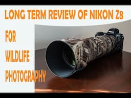 REVIEW OF NIKON Z8 FOR WILDLIFE PHOTOGRAPHY