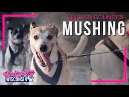 Wisconsin Musher & the Love for Their Dogs | Beauty Behind Dog Sledding | Uniquely Wisconsin