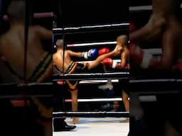 7 year old #muaythai TKO win