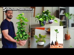 5 Effortless Plants to Brighten Your Space with Minimal Effort | Simple Plants Ideas//GREEN PLANTS