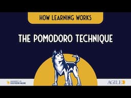 Maximize Your Attention with the Pomodoro Technique