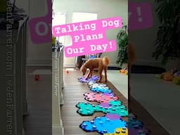 Talking Dog Plans Our Day: Store, Car, Park… You Won’t Believe What She Says Next!  #aic #smartdog