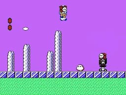 [TAS] NES Super Mario Bros. 2 "warpless" by Aglar, andrewg & Alyosha in 18:21.87