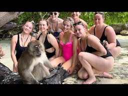 🇹🇭⛱️🐒 MONKEY BEACH PHI PHI ISLAND, UP CLOSE WITH CHEEKY MONKEYS IN TROPICAL PARADISE, THAILAND, 4K