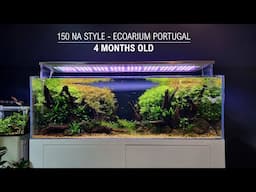 150 NA STYLE | ECOARIUM | 4 MONTHS OLD