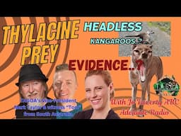 * Beware graphic images*Thylacine evidence investigation headless Kangaroos with ABC Radio Adelaide.