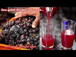 ஒரு ரெட் ஒயின் செய்யலாமா..? | A home brewed grape wine.. | alcohol is injurious to health