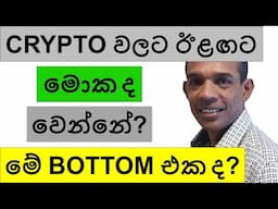 CRYPTO වලට ඊළඟට මොක ද වෙන්නේ? | මේ BOTTOM එක ද?