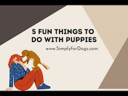 Fun Things to Do With Puppies