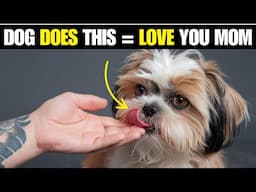 Scientists Confirm If Your Dog Does THIS, It Means They’ve Truly Imprinted on You!