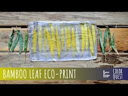 HOW TO ECO-PRINT WITH BAMBOO | ORGANIC COLOR | TANNIN  & IRON MORDANT BLANKET | BUNDLE DYE