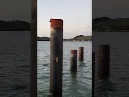 High tide in Cork Harbour