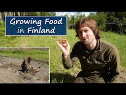 Growing Food in Freezing Finland | My First Year