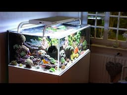 Uwe's 400 liter REEF TANK (acrylic!) + New Royal Exclusive LED