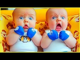 Funniest Baby's Reactions That Will Make You Laugh || Peachy Vines