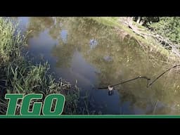 Illinois Bow and Spearfishing - Summer 2023 | Tex Grebner Outdoors