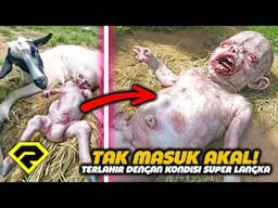 SULIT DIPERCAYA?! 8 Hewan Lahir Dengan Kondisi Super Langka, SUSAH UNTUK DIJELASKAN!