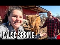 False Spring in Oklahoma! Prepping for BIG Farm Projects Before Real Spring Arrives