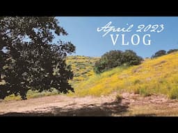 April 2023 Vlog: garden, paintings, and travel🌿🎨🧳