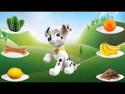 PAW Patrol: What does Marshall eat?