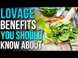 6 Benefits of Lovage to Know About! | Lovage Herb Health Benefits