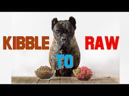 Transitioning from a Kibble Diet to a Raw Diet for Your Dog - Mixing vs Fasting