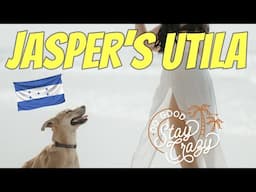 Utila Honduras - Jasper's Animal Shelter