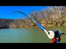 Here’s Where To Find Big Catfish In Late Winter/Early Spring