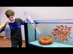 Adding 500x Clownfish to Anemone with BIG Clear Slide, This Happened...