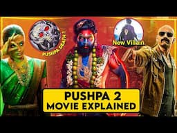 Pushpa 2 Movie Explained In HINDI | Pushpa 2 The Rule Story In HINDI | Pushpa The Rule (2024) Movie