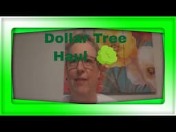 #dollartreehaul great finds plus funny clips at the end