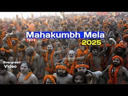 Prayagraj Kumbh Mela 2025 | Kumbh Mela 2025 | Triveni Sangam Prayagraj Bathing