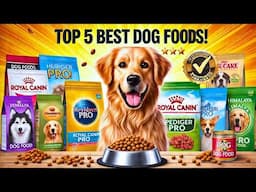 Best Dog Foods For Your Dogs 🐶 | Best Dog Food for Healthy Growth & Shiny Coat