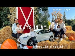 days in my life VLOG | bought a tesla, harvest days, shopping for halloween & fall