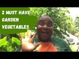 Two Vegetables You Should Always Grow In African Home| Vegetable Garden Essentials