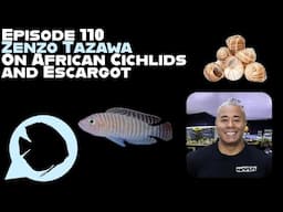 Ep. 110 - Zenzo Tazawa on African Cichlids and Escargot