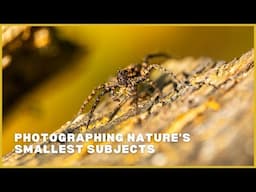 Photographing Nature's Smallest Subjects