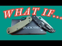 BUCK KNIVES MADE A SPYDERCO KIND OF KNIfE !! YOU'VE PROBABLY SEEN IT