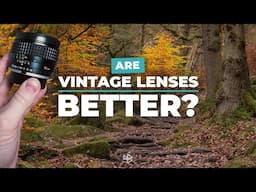 Are Vintage Lenses Better?