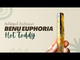 NEW PEN DAY! | BENU Euphoria Hot Toddy