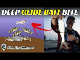 Feeding Frenzy 20ft Deep On Glide Baits! | Winter Glide Bait Fishing Tips and Tricks