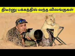 போட்டோகிராப்பர்களை கதறவிட்ட விலங்குகள் | When Animals Surprised Photographers | Tamil Amazing Facts